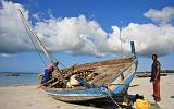 TANZANIA - Pemba Island - Spiaggia di Vumawimbi - 6